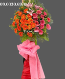  Kệ Hoa Đồng Tiền Mừng Khai Trương - B504 