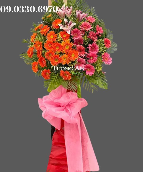  Kệ Hoa Đồng Tiền Mừng Khai Trương - B504 