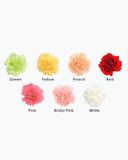  Cẩm Chướng Đơn - HCC25 