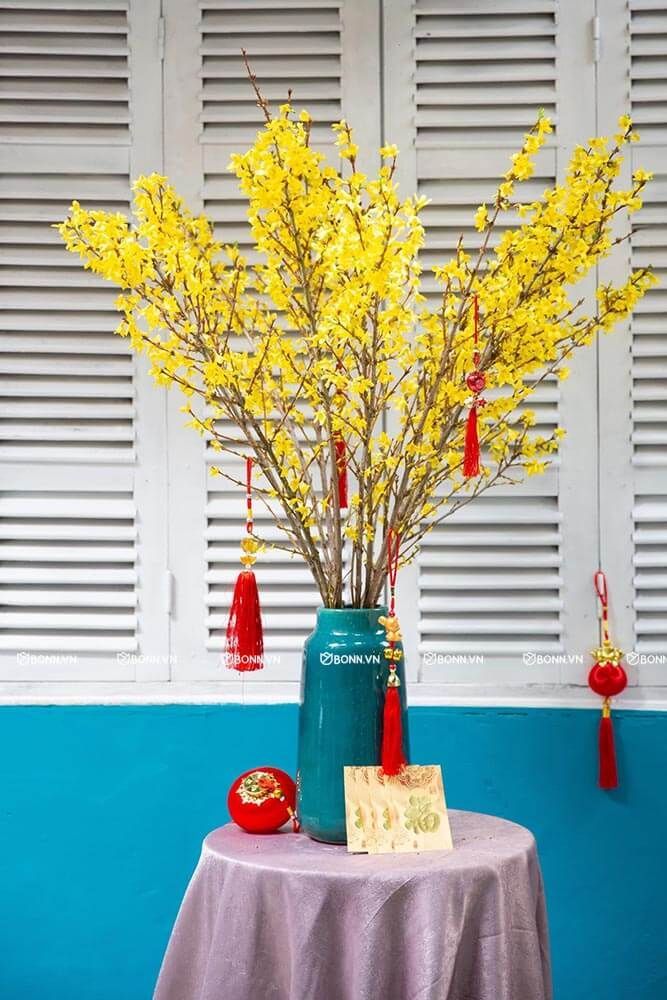  Hoa Mai Mỹ - HCC24 