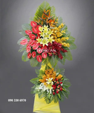  Kệ Hoa Tung Cánh Thành Công - A94 