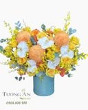  Hoa Cắm Hộp Bình Minh Êm Ái- HCH109 