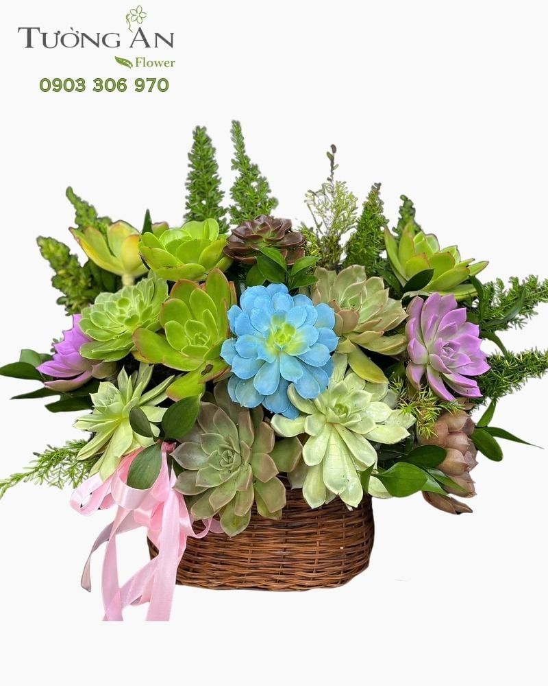  Chậu Sen Đá Khu Vườn Vĩnh Cửu - SD18 