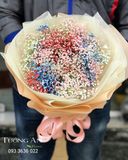  Bó Hoa Baby Màu - S141 