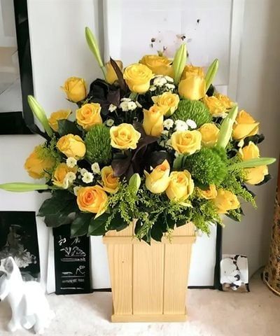  Hộp Hoa Tông Vàng - B153 