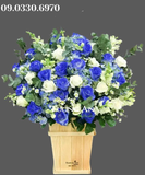  Hộp Hoa Hồng Xanh - B169 