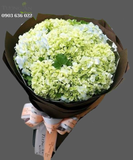  Bó Hoa Tú Cầu - S206 