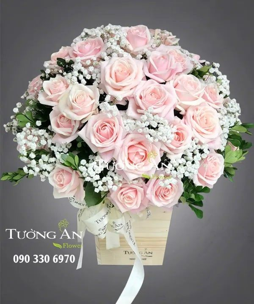 hoa-cam-hop-dieu-ngot-ngao-a240