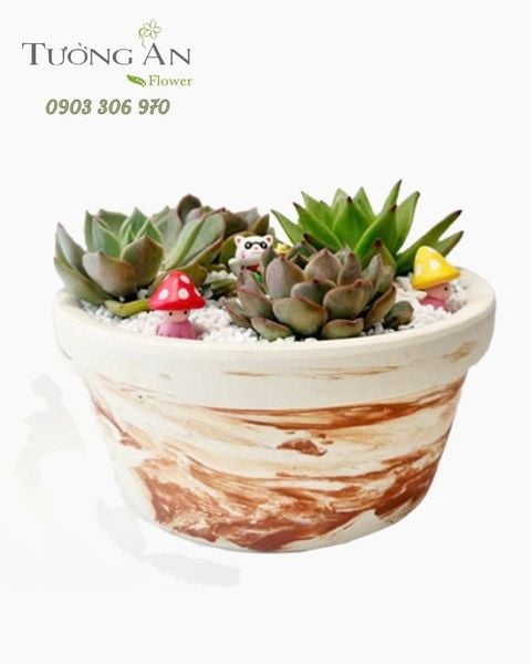 Chậu Sen Đá Tiểu Viên An Lạ - SD04