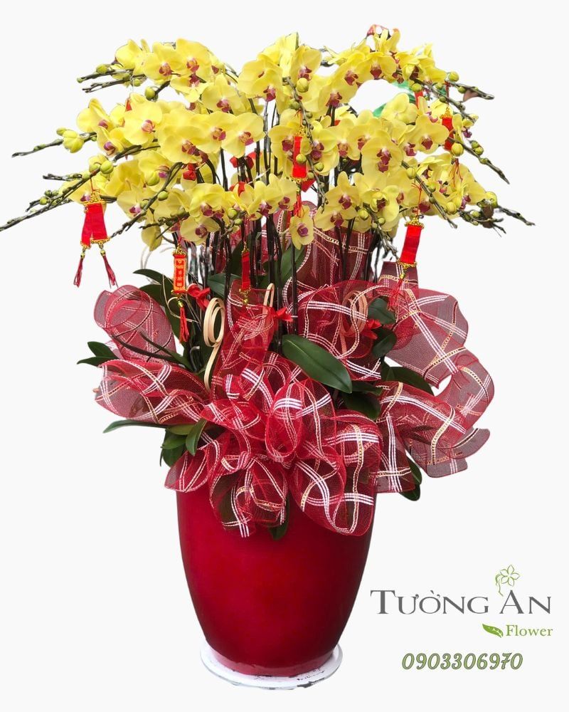  Chậu Lan Hồ Điệp Kim Phúc Hưng Thịnh - LHD47 