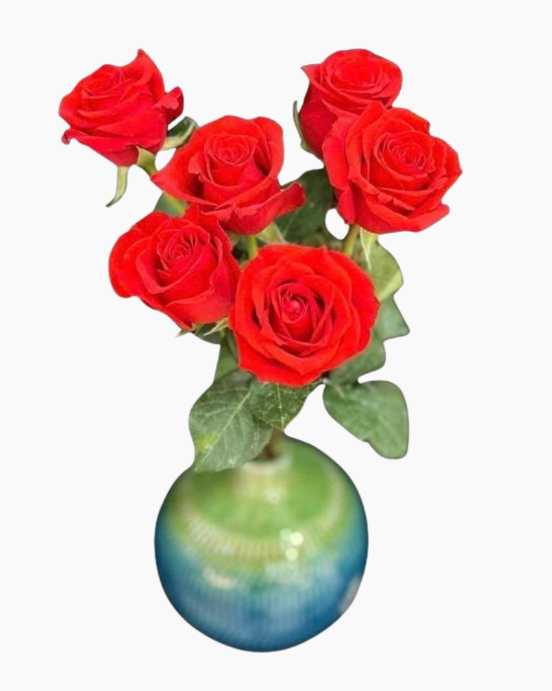  Hoa Hồng Đỏ - HCC01 