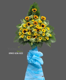  Kệ Hoa Mừng Nắng Ấm - S179 