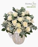  Hoa Cắm Hộp Bạch Sắc Vĩnh Tịnh​​​​​​​ - HTL62 