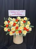  Hoa Cắm Hộp Sắc Xuân An Lành - HCH41 