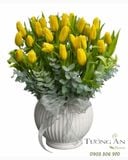  Bình Hoa Nắng Vàng Tulip - HCB11 