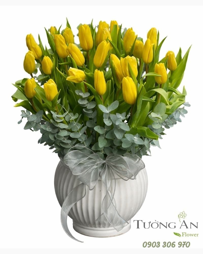  Bình Hoa Nắng Vàng Tulip - HCB11 