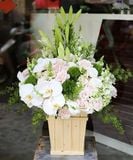  Hộp Hoa Trắng Xanh - B171 