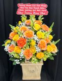  Hoa Cắm Hộp Ánh Dương Rạng Rỡ - HCH129 