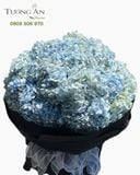  Bó Hoa Thiên Thanh Vĩnh Cửu - HBT47 