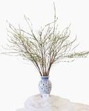  Hoa Tuyết Mai - HCC03 