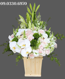  Hộp Hoa Trắng Xanh - B171 