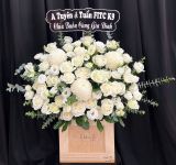  Hoa Cắm Hộp Ánh Tinh Khôi - HCH143 