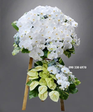  Vòng Hoa Lời Chia Tay - A128 