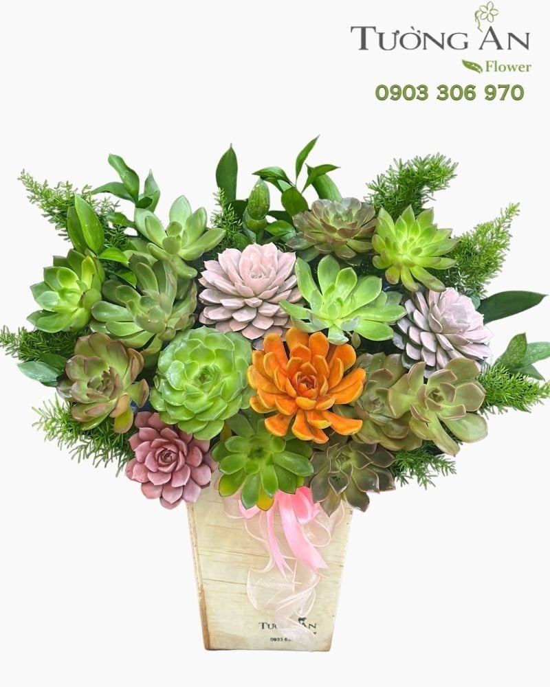  Chậu Sen Đá Vườn Xanh Thịnh Vượng - SD14 