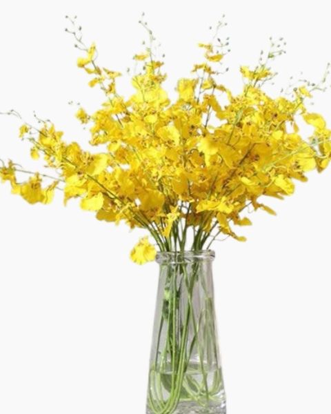 Hoa Lan Vũ Nữ - HCC16