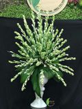  Hoa Huệ Trắng - HCC04 