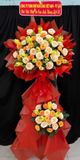  Hoa Chúc Mừng Hồng Phúc Cát Tường - HCM91 