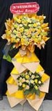  Hoa Chúc Mừng Hoàng Kim Cát Tường - HCM97 