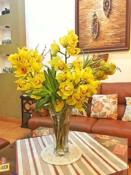 Hoa Địa Lan - HCC17