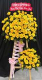  Hoa Chúc Mừng Hoàng Kim Phát Lộc - HCM36 