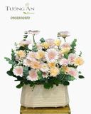  Hoa Cắm Hộp Nắng Mai Dịu Dàng - HCH30 