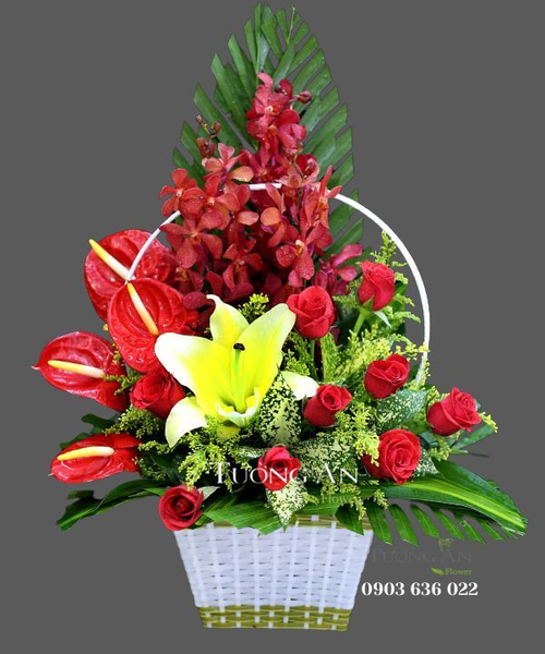 gio-hoa-chuc-mung-s19