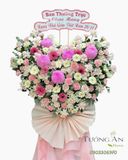  Hoa Chúc Mừng Hồng An Khởi Sắc - HCM30 