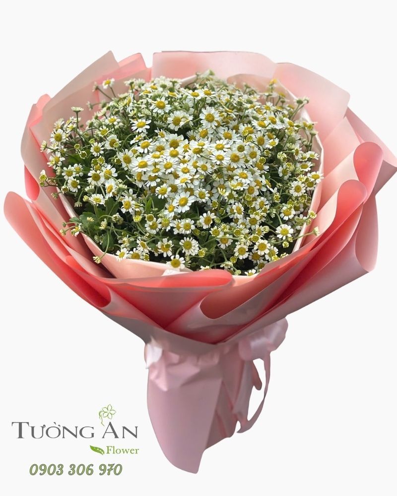  Bó Hoa Nắng Nhỏ Yêu Thương - HBT20 