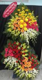  Hoa Chúc Mừng Bình Minh Thịnh Vượng - HCM87 