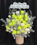  Hoa Cắm Hộp Lục Ngọc Pickle Joy - HCH11 