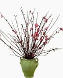  Cành Đào Bắc - HCC19 