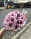  Hoa Cúc Tím - HCC33 