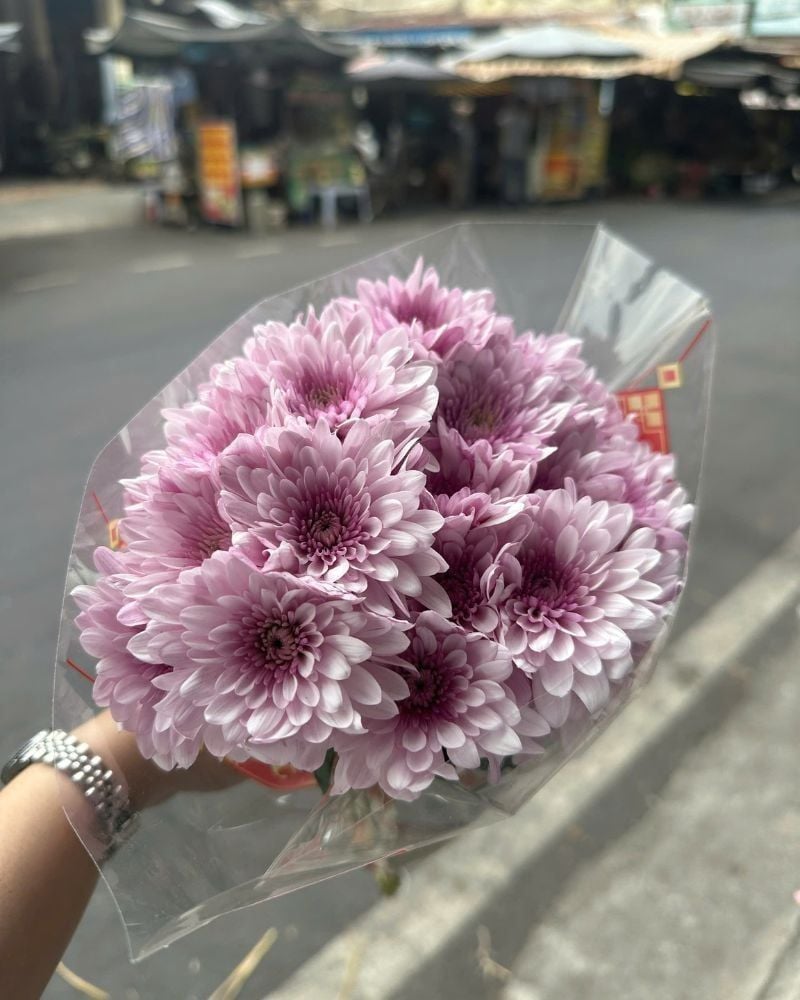  Hoa Cúc Tím - HCC33 