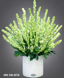  Bình Hoa Huệ - A154 