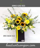  Hộp Hoa Ánh dương - S616 