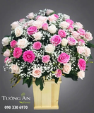  Hoa Cắm Hộp Hồng Xinh - A145 