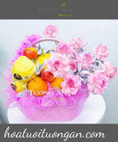 Giỏ Hoa Trái Cây - B27 