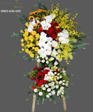  Hoa Chúc Mừng Rực Rỡ - S494 