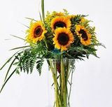  Hoa Hướng Dương - HCC07 