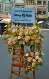 Hoa Chúc Mừng Vững Bước Thành Công - HCM08 